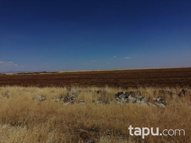 Şanlıurfa Siverek Bakmaç Köyü'nde 177 Dönüm Hisseli Tarla