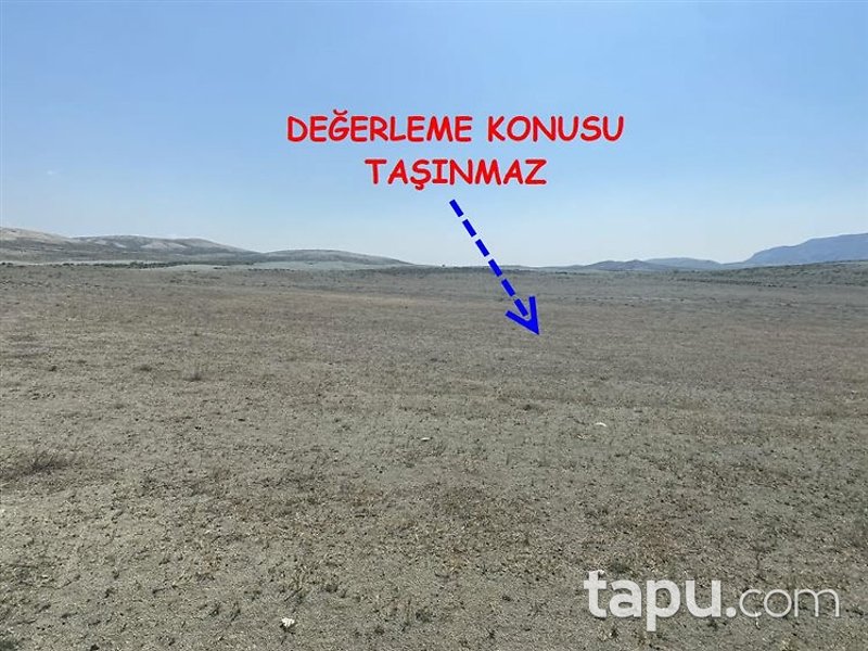 Nallıhan Çayırhan Mahalle'sinde 22 Dönüm Tarla