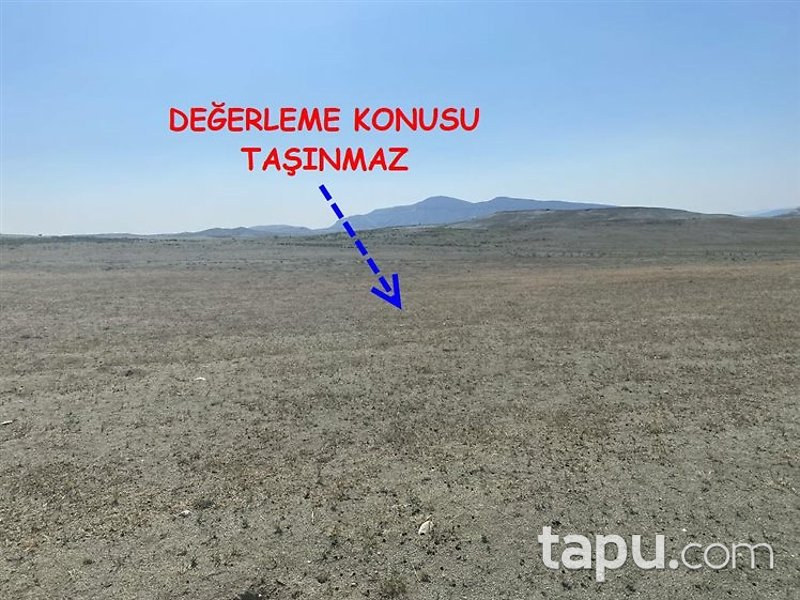 Nallıhan Çayırhan Mahalle'sinde 22 Dönüm Tarla