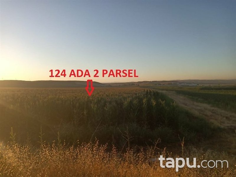 Diyarbakır Bismil Şahintepe Mahallesi'nde 11 Dönüm Tarla