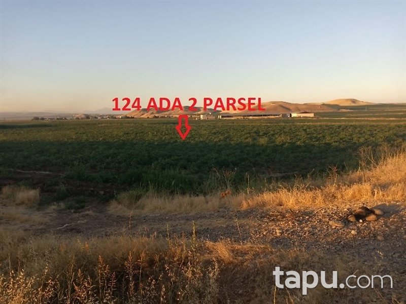 Diyarbakır Bismil Şahintepe Mahallesi'nde 11 Dönüm Tarla