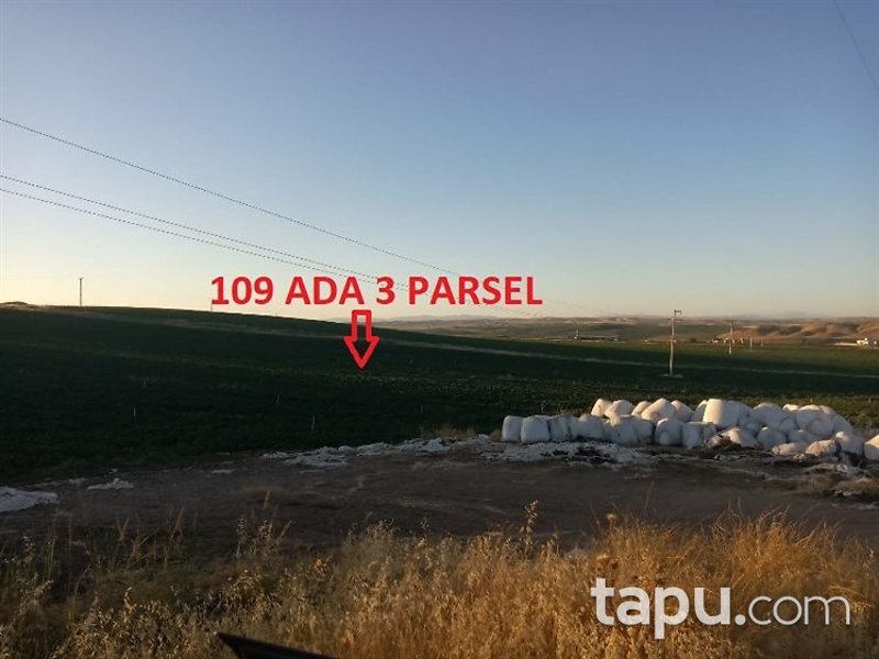 Diyarbakır Bismil Şahintepe Mahallesi'nde 17 Dönüm Tarla