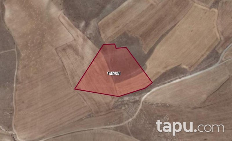 Niğde Merkez Uluağaç'ta Yatırımlık 26 Dönüm Tarla