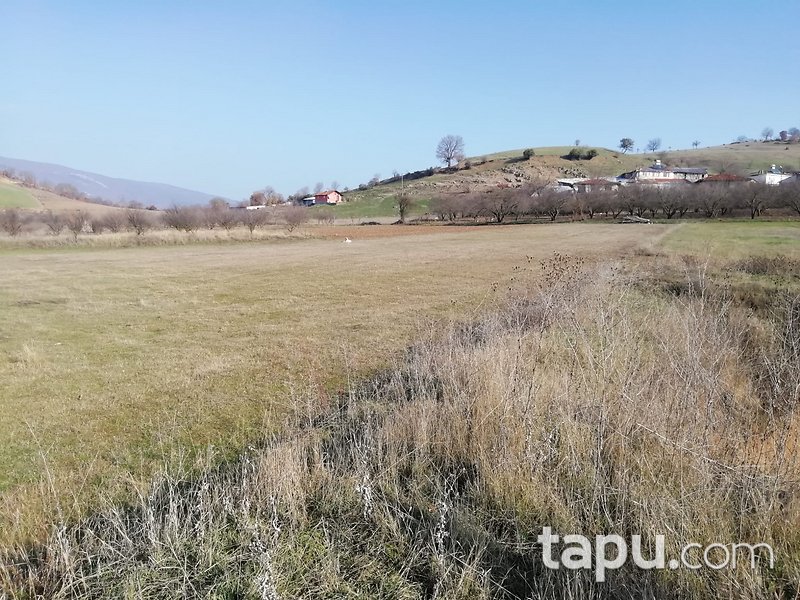 Bilecik Osmaneli 2995 m2 Yatırımlık Tarla