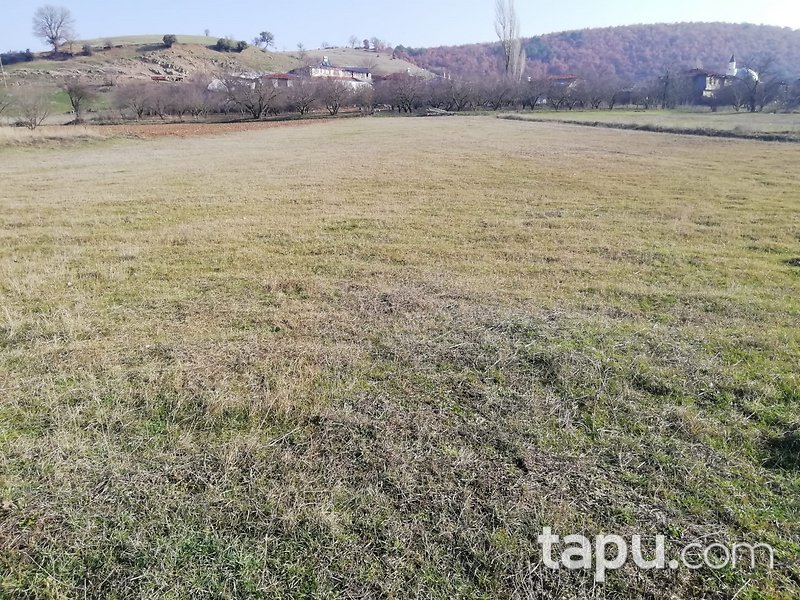 Bilecik Osmaneli 2995 m2 Yatırımlık Tarla