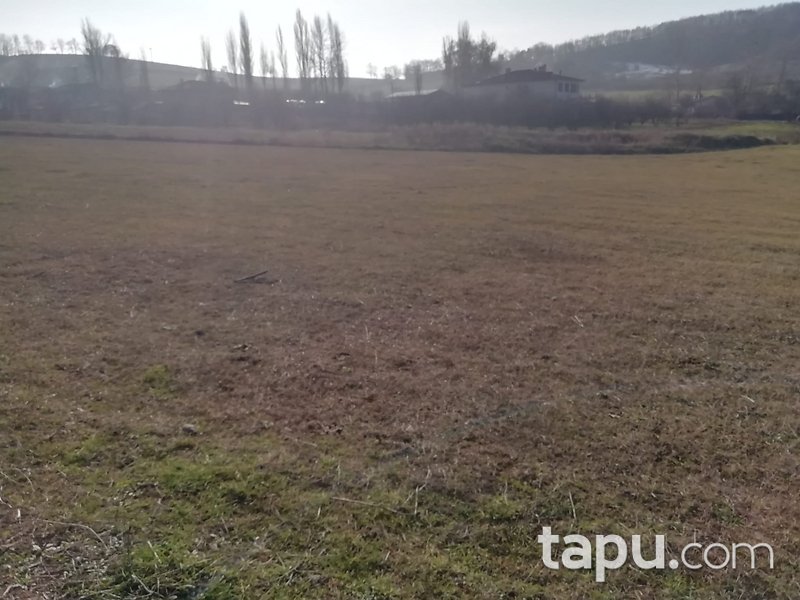 Bilecik Osmaneli 2995 m2 Yatırımlık Tarla