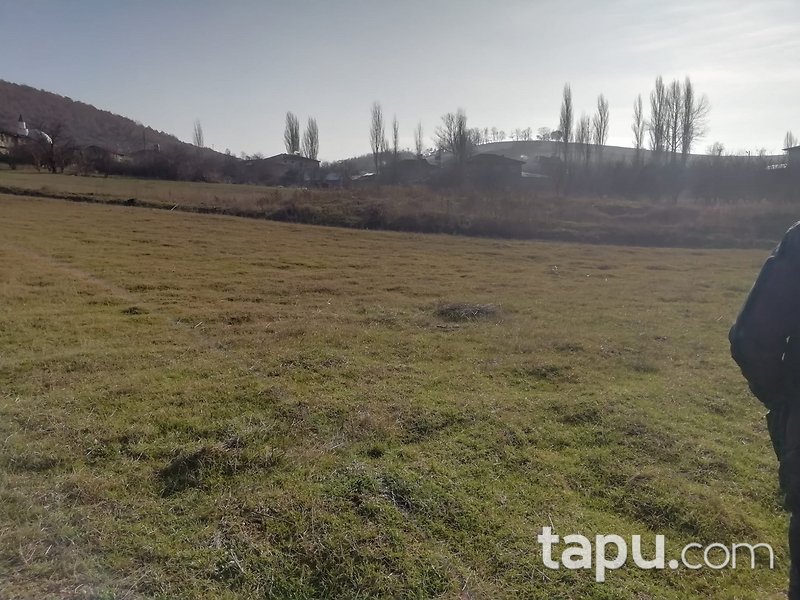 Bilecik Osmaneli 2995 m2 Yatırımlık Tarla