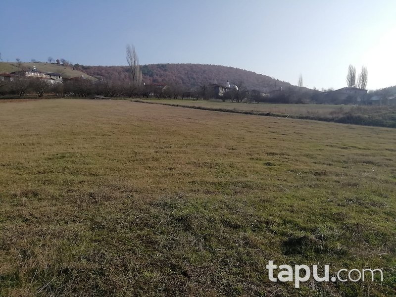 Bilecik Osmaneli 2995 m2 Yatırımlık Tarla