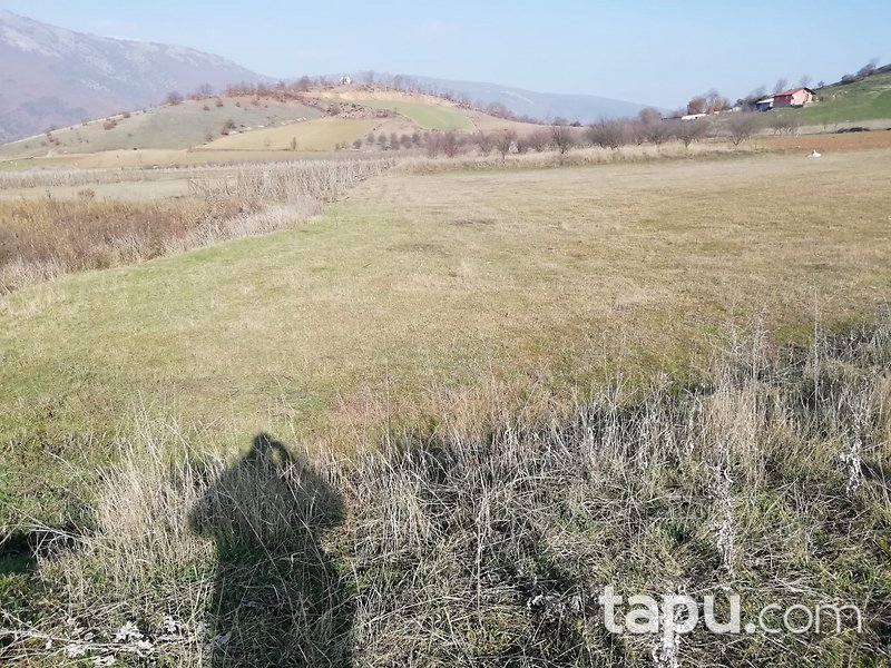 Bilecik Osmaneli 2995 m2 Yatırımlık Tarla