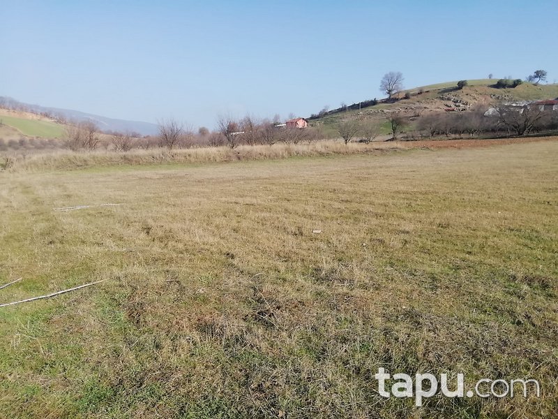 Bilecik Osmaneli 2995 m2 Yatırımlık Tarla