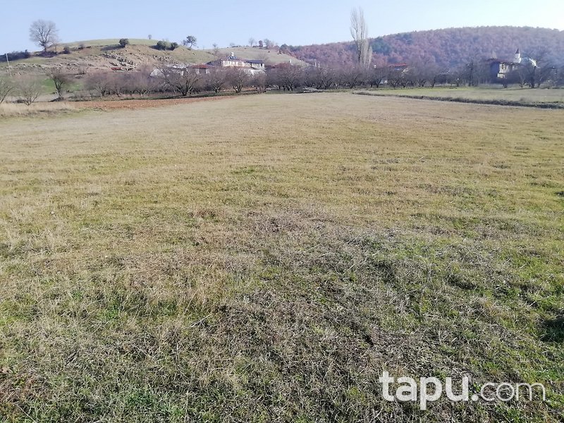 Bilecik Osmaneli 2995 m2 Yatırımlık Tarla