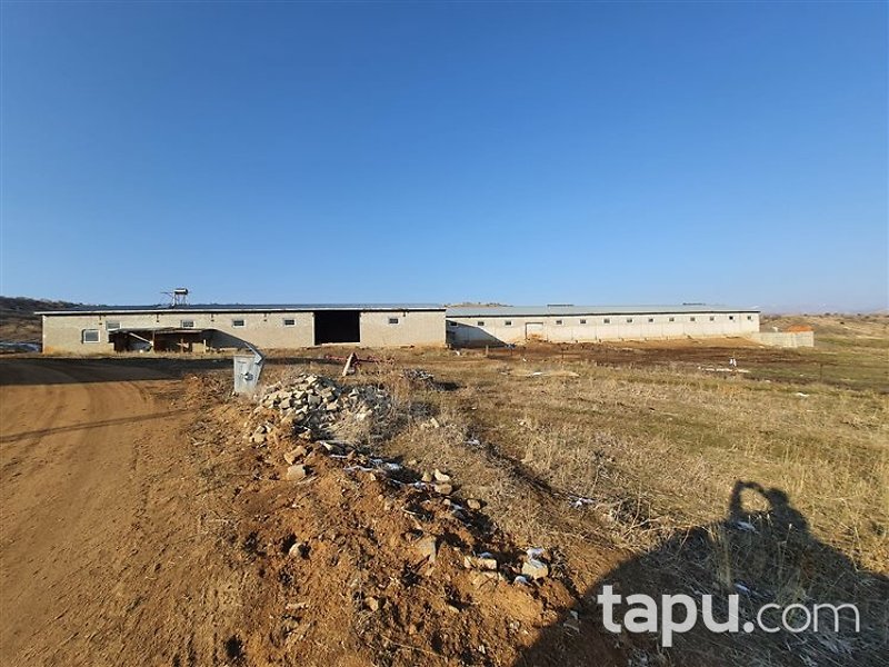 Gümüşhane Köse'de 3713 m² Hazır Besi Çiftliği ve Arsası