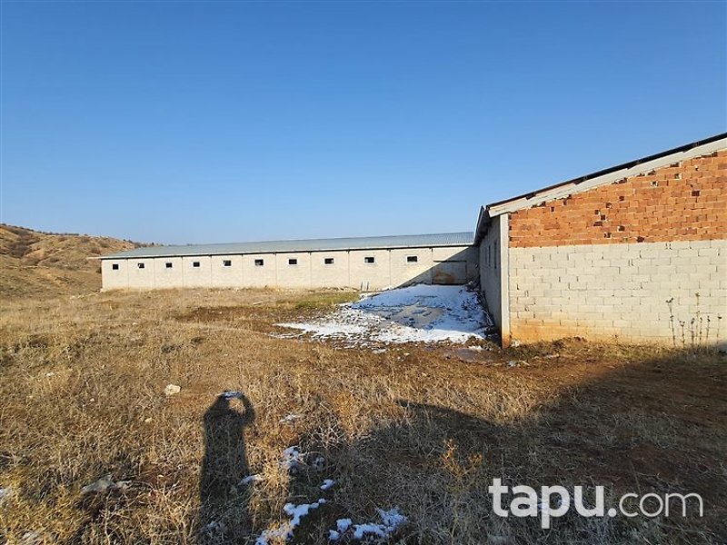 Gümüşhane Köse'de 3713 m² Hazır Besi Çiftliği ve Arsası