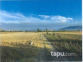 Isparta Merkez'de Şehir Merkezine Yakın Tarla ve Yol