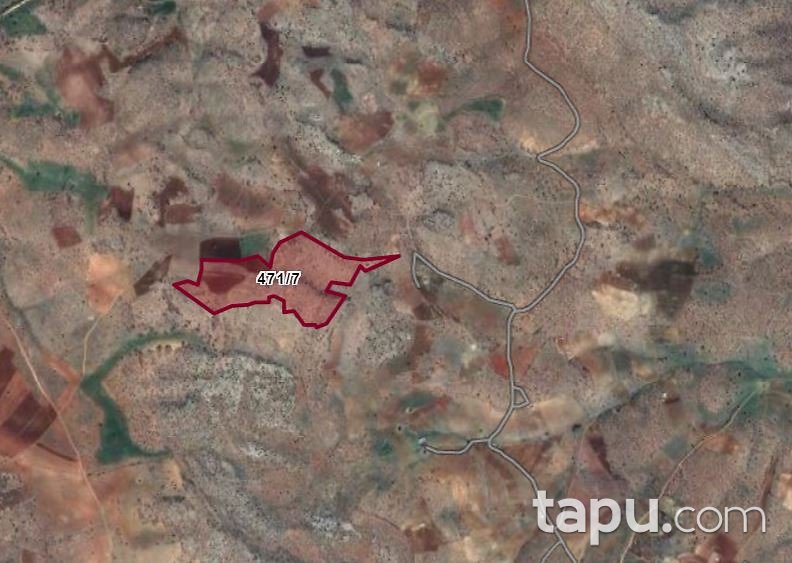Konya Bozkır Hamzalar 84 Dönüm Yatırımlık Bağ