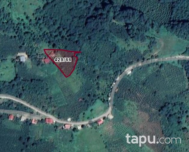Ordu Ünye'de Kargir Ev Ve Fındık Bahçesi