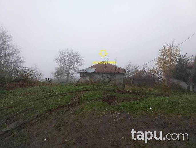 Ordu Ünye'de Kargir Ev Ve Fındık Bahçesi