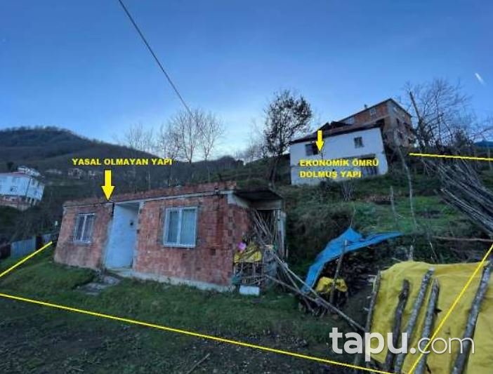 Giresun Tirebolu İğnece'de Ahşap Ev Ve Fındık Bahçesi