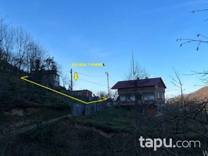 Giresun Tirebolu İğnece'de Ahşap Ev Ve Fındık Bahçesi