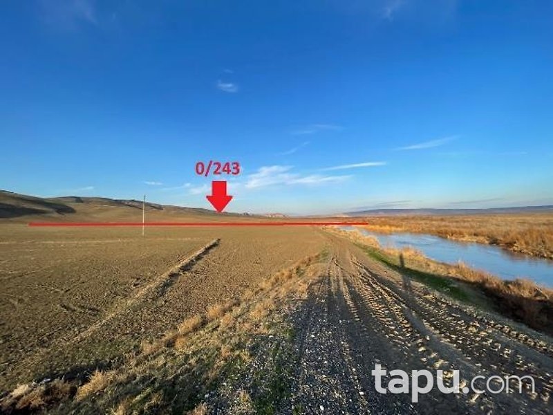 Çorum Sungurlu Çayyaka 29 Dönüm Tarla