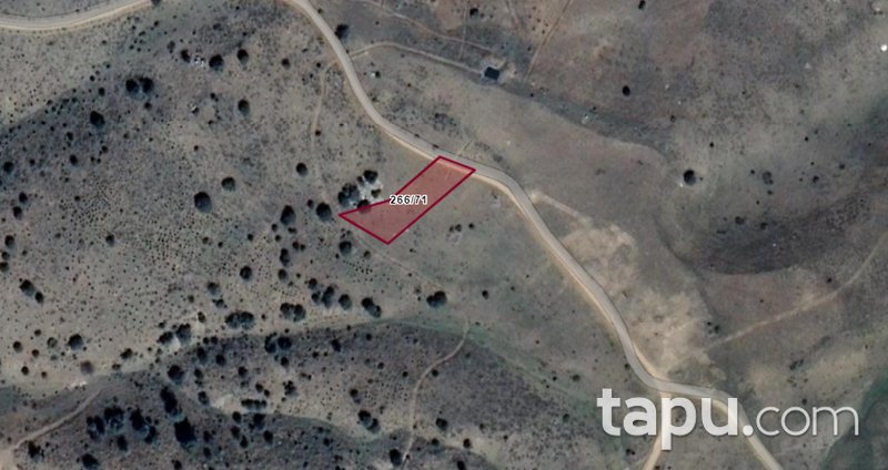 Hadim Göynükkışla Mahallesi'nde Yatırımlık 1.546 m2 Tarla