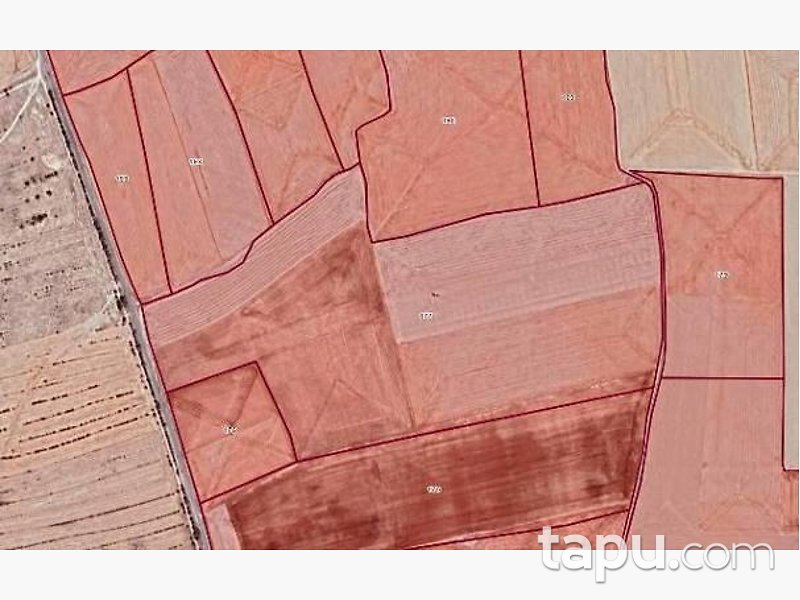 Konya Emirgazi Işıklar'da Hisseli 14 Dönüm Tarla