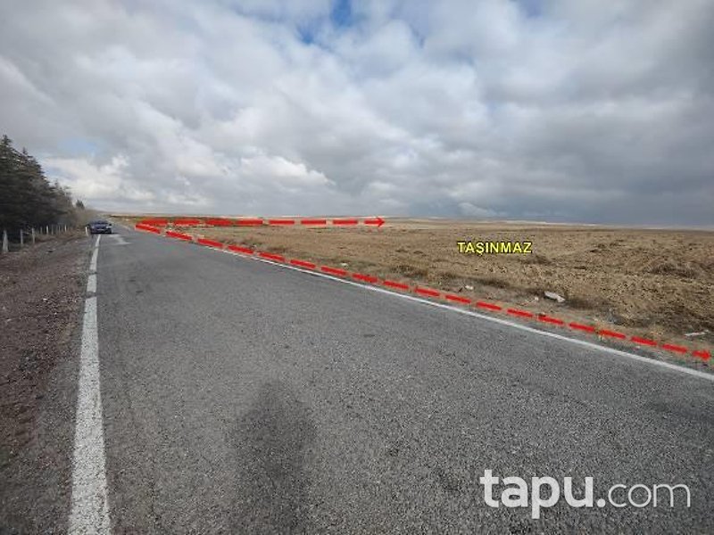 Konya Emirgazi Işıklar'da Hisseli 14 Dönüm Tarla