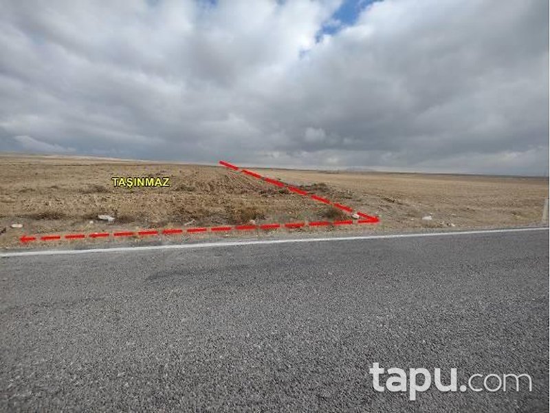 Konya Emirgazi Işıklar'da Hisseli 14 Dönüm Tarla
