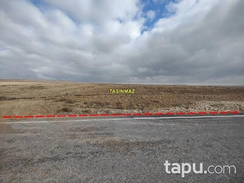 Konya Emirgazi Işıklar'da Hisseli 14 Dönüm Tarla