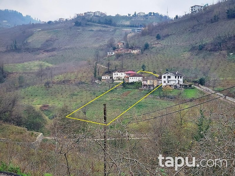Trabzon Ortahisar Akoluk'ta Kargir Ev Tarla Ve Fındık Bahçesi