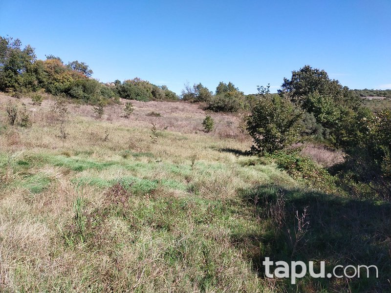 Çanakkale Biga Gürgendere 1950 m2 Yatırımlık Tarla