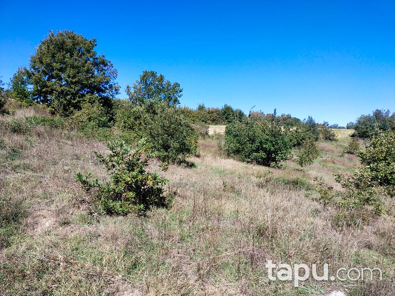 Çanakkale Biga Gürgendere 1950 m2 Yatırımlık Tarla