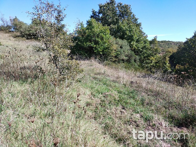 Çanakkale Biga Gürgendere 1950 m2 Yatırımlık Tarla
