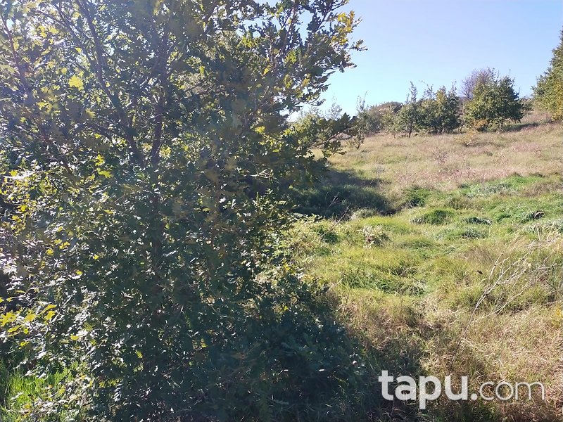 Çanakkale Biga Gürgendere 1950 m2 Yatırımlık Tarla
