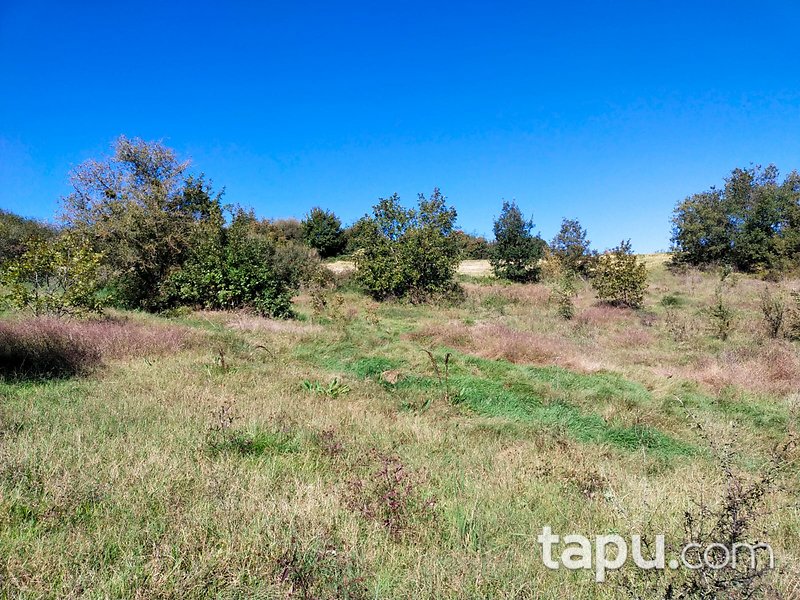 Çanakkale Biga Gürgendere 1950 m2 Yatırımlık Tarla
