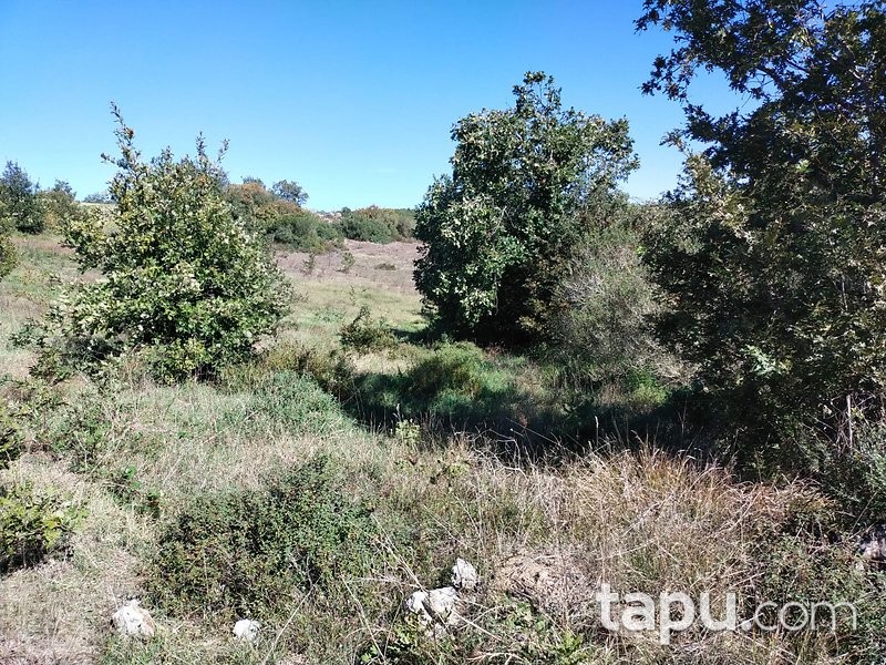 Çanakkale Biga Gürgendere 1950 m2 Yatırımlık Tarla