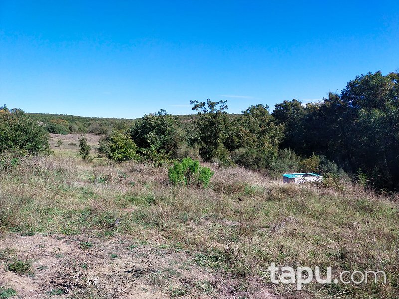 Çanakkale Biga Gürgendere 1950 m2 Yatırımlık Tarla