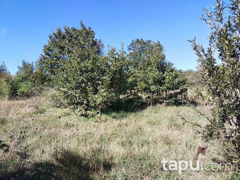 Çanakkale Biga Gürgendere 1950 m2 Yatırımlık Tarla