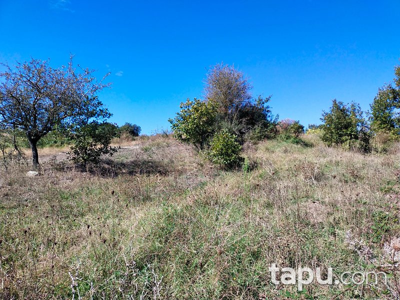 Çanakkale Biga Gürgendere 1950 m2 Yatırımlık Tarla