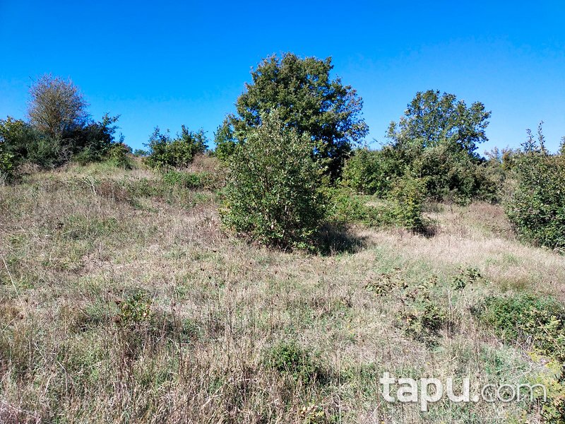Çanakkale Biga Gürgendere 1950 m2 Yatırımlık Tarla