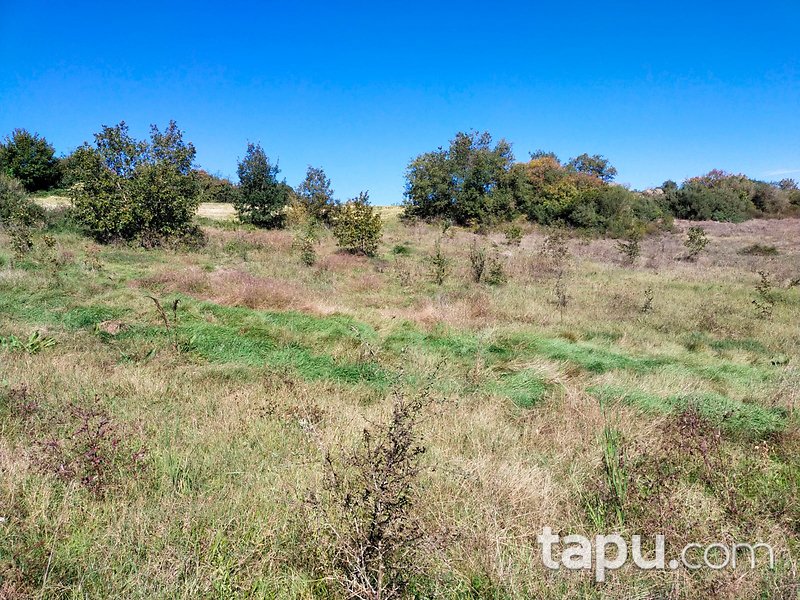 Çanakkale Biga Gürgendere 1950 m2 Yatırımlık Tarla