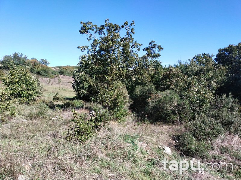 Çanakkale Biga Gürgendere 1950 m2 Yatırımlık Tarla
