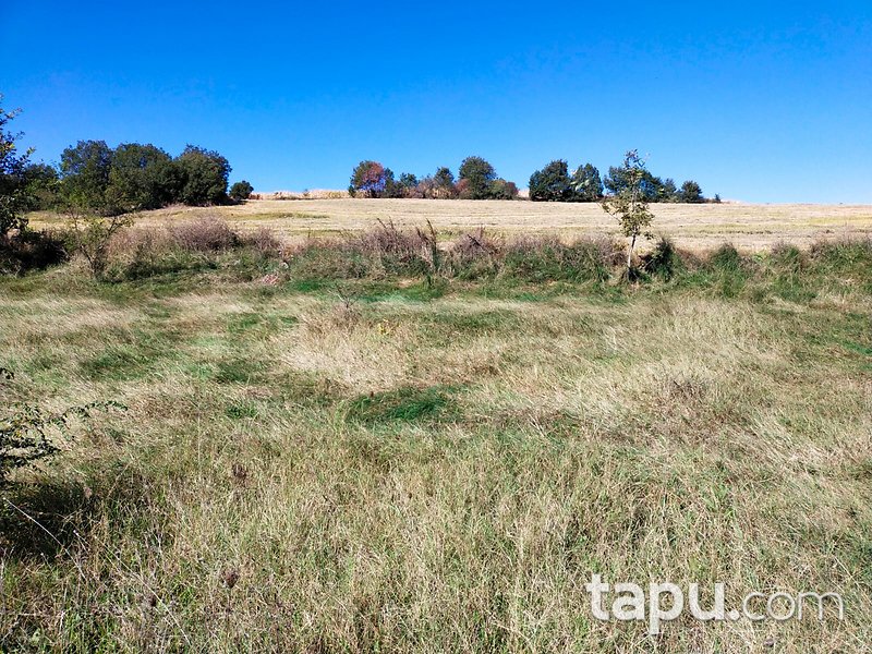 Çanakkale Biga Gürgendere 1950 m2 Yatırımlık Tarla
