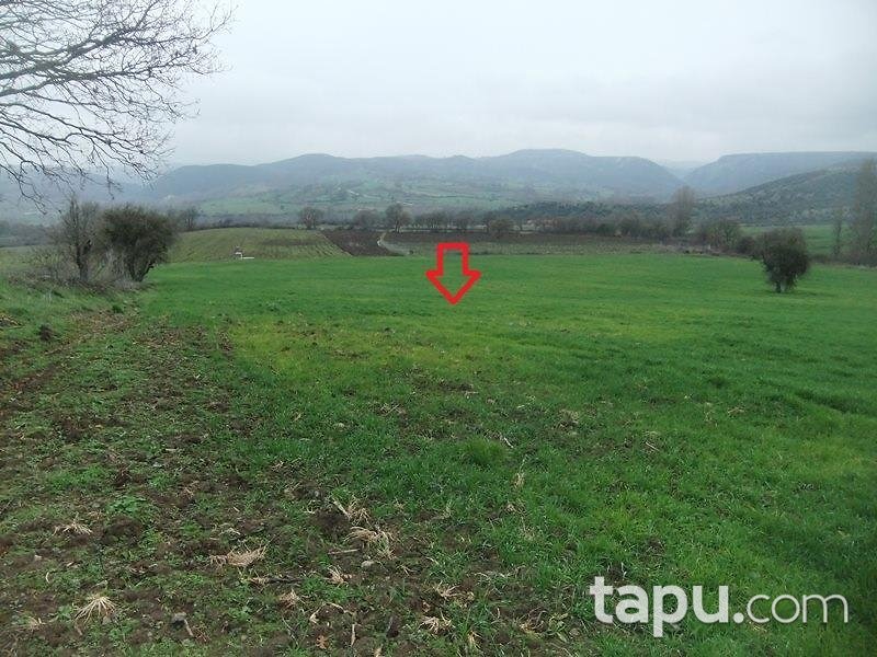 Balıkesir İvrindi Kurtuluş Mahallesi'nde Hisseli 14 Dönüm Tarla