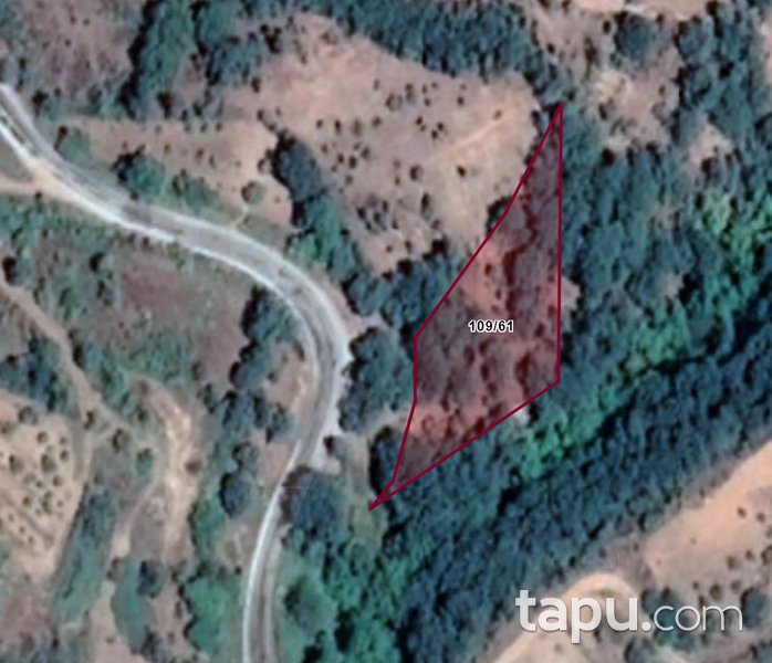 Aydın Karacasu'da 1592 m2 Tarla