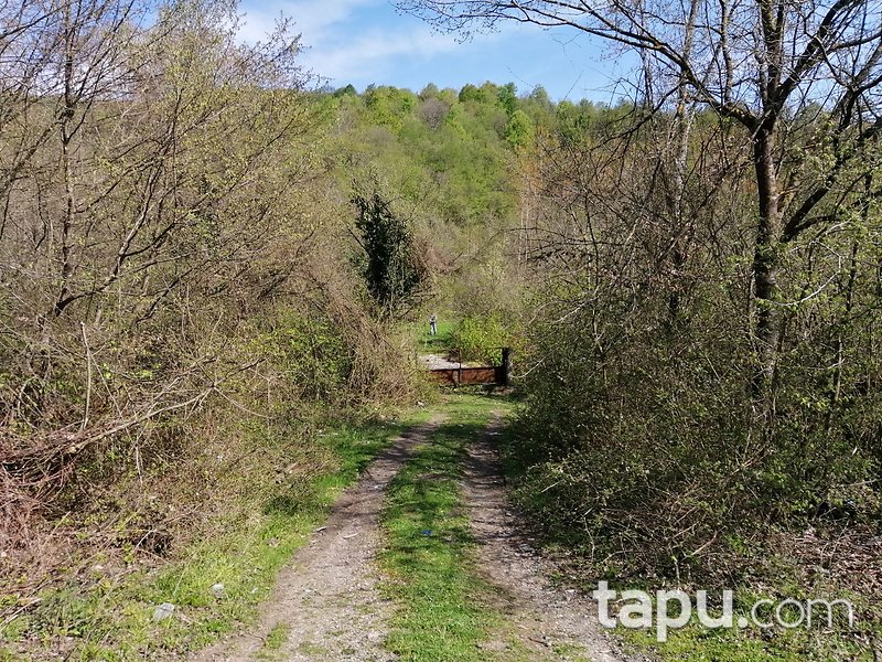 Zonguldak Çaycuma Yukarıçukur Mahallesinde Tarım ve Hayvancılığa Uygun 5.049 m2 Arsa