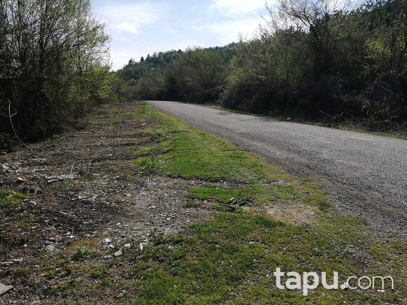 Zonguldak Çaycuma Yukarıçukur Mahallesinde Tarım ve Hayvancılığa Uygun 5.049 m2 Arsa