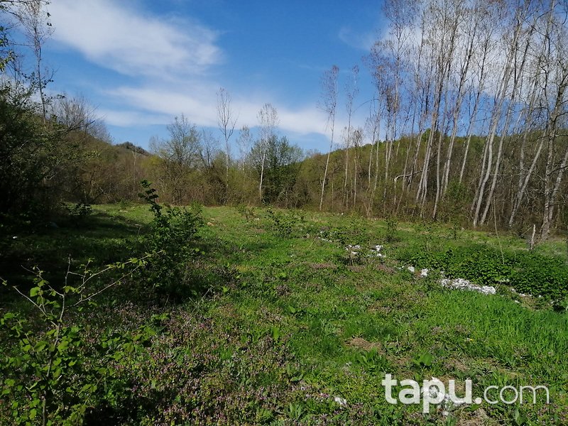 Zonguldak Çaycuma Yukarıçukur Mahallesinde Tarım ve Hayvancılığa Uygun 5.049 m2 Arsa