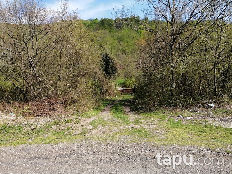 Zonguldak Çaycuma Yukarıçukur Mahallesinde Tarım ve Hayvancılığa Uygun 5.049 m2 Arsa
