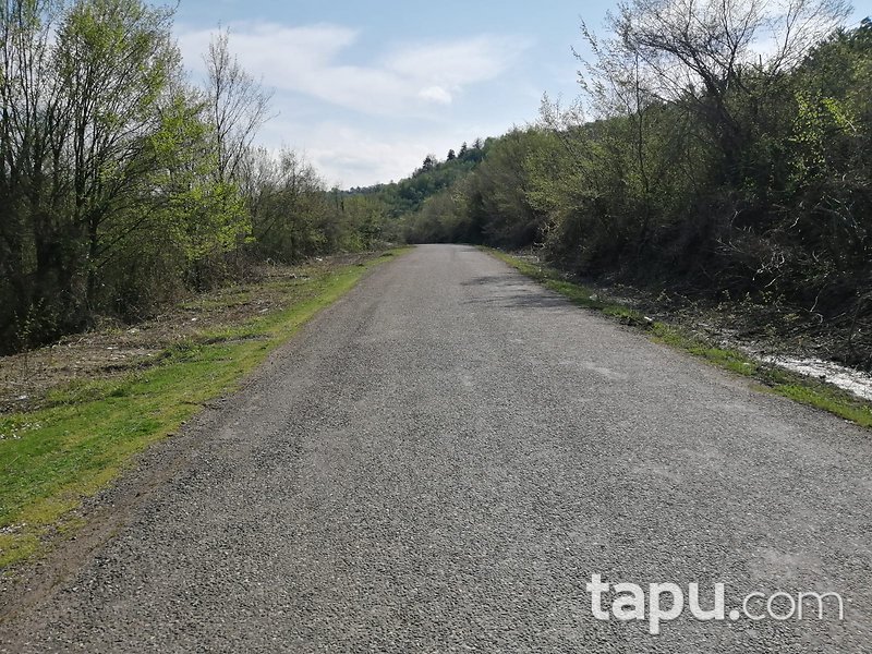 Zonguldak Çaycuma Yukarıçukur Mahallesinde Tarım ve Hayvancılığa Uygun 5.049 m2 Arsa